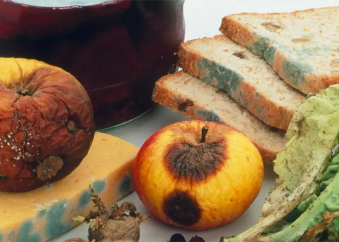 上海退港堅果報廢處理企業2022已更新(今日/資訊)