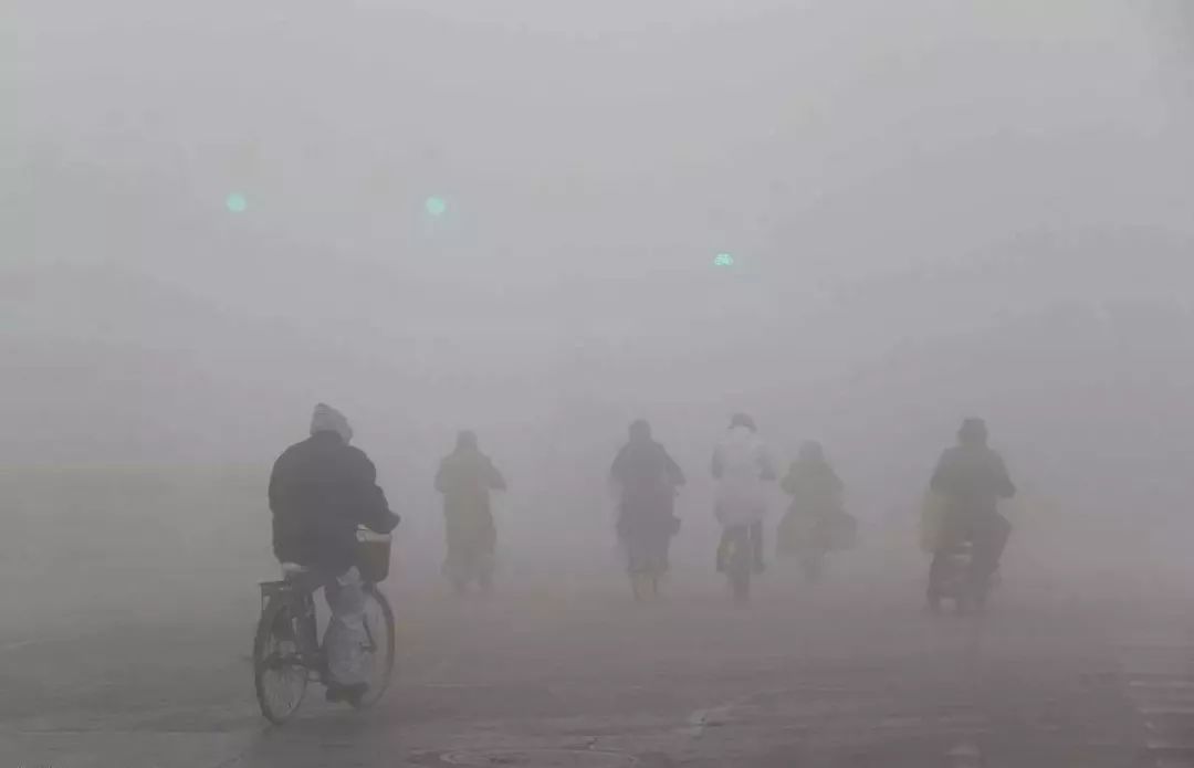 空氣污染如何殺死植物和動物？